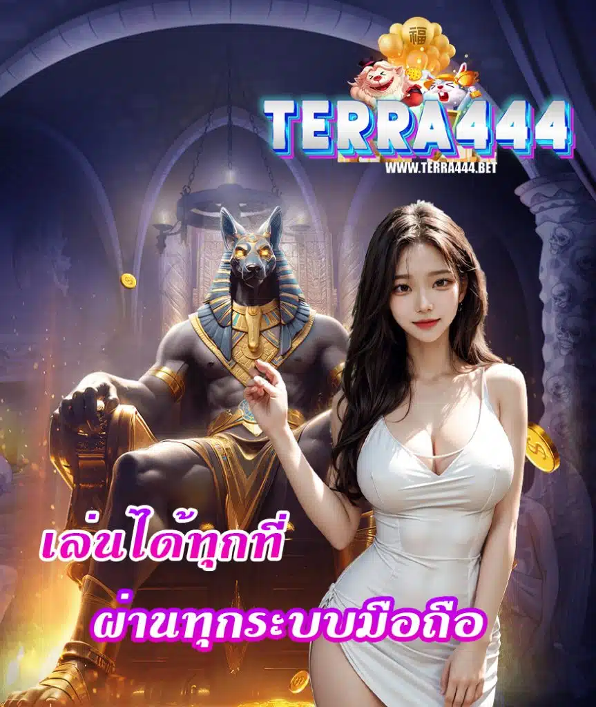 terra444 ทางเข้า
